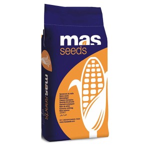 Kukurydza siewna MAD SEEDS Interactis