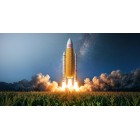 Kukurydza siewna LG 31.274 - 1