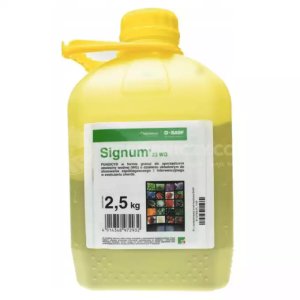 SIGNUM 33WG - 2,5 kg