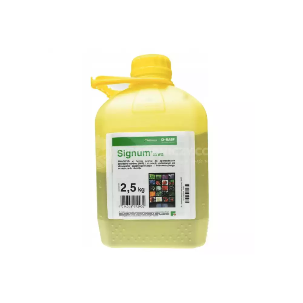 SIGNUM 33WG - 2,5 kg
