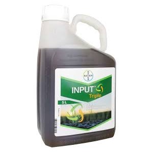 Input Triple 400EC - 5L /1l/ha/