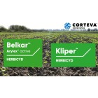 Belkar a1l+ Kliper 3xa'1l (PAK) 4ha - 1