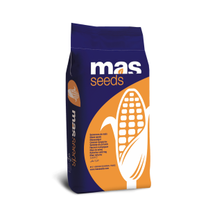 Kukurydza siewna Hulk C/1 - 80 tys. nasion