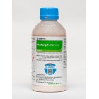 Mustang Forte 195 SE - 1L - 1