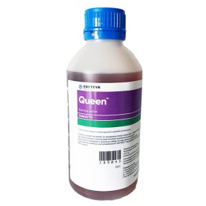Queen - 1L