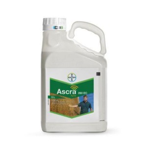 Ascra XPRO 260C - 5L