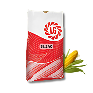 Kukurydza siewna LG 31.240 C/1 - 50 tys. nasion