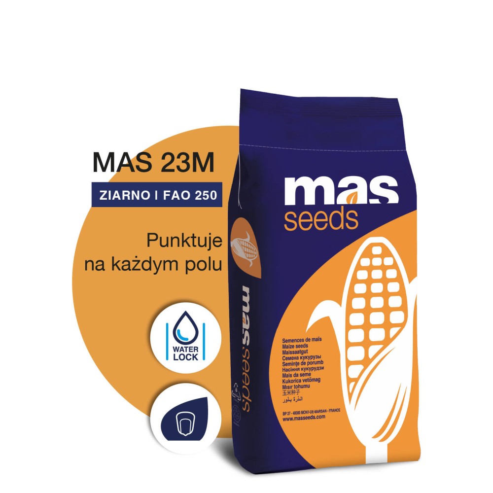 Kukurydza siewna MAS 23.M C/1 - 50 tys. nasion
