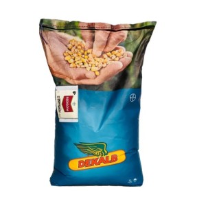 Kukurydza siewna DKC 3595 C1 zapr.Redigo M 120FS a'50tys