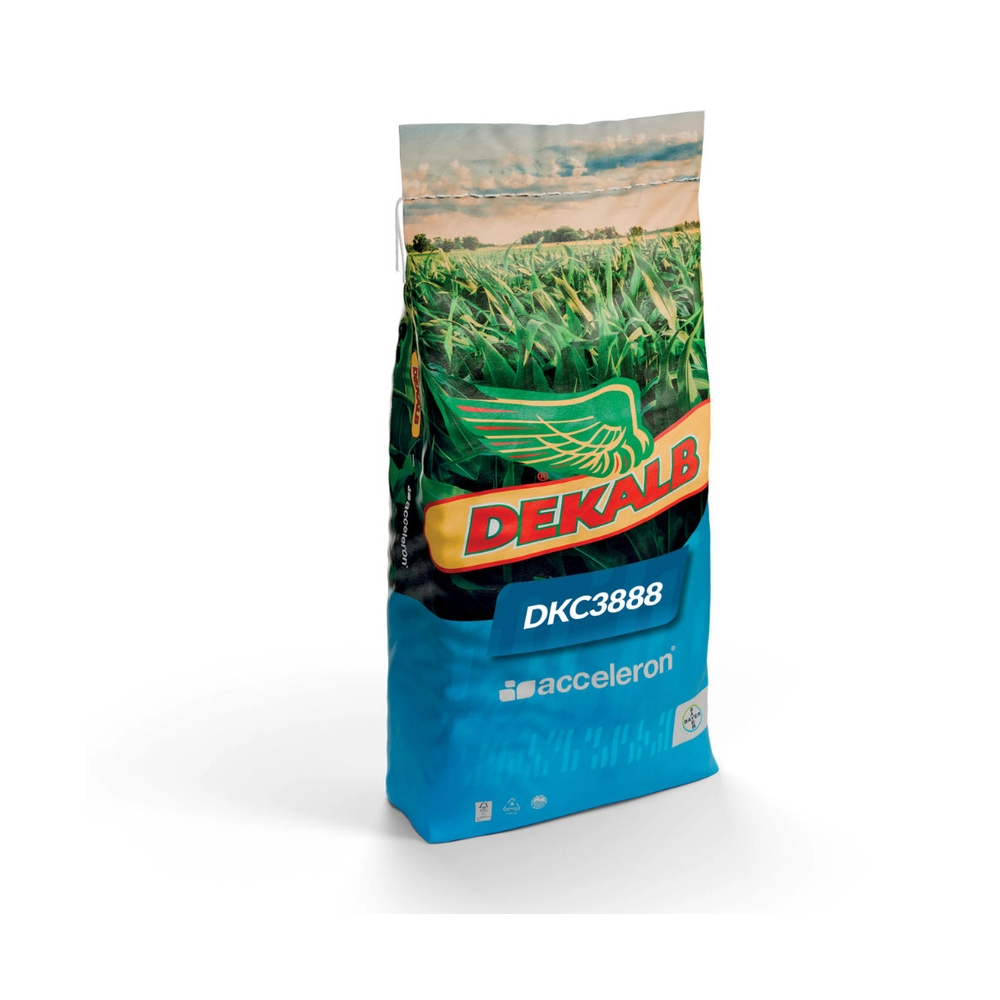Kukurydza siewna DKC3888 C/1 - 50 tys. nasion Zapr.: Redigo M