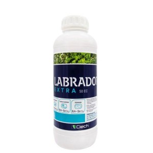 Labrador Extra 05EC A - 1 L