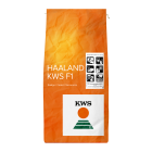 KWS HAALAND F1 - 2