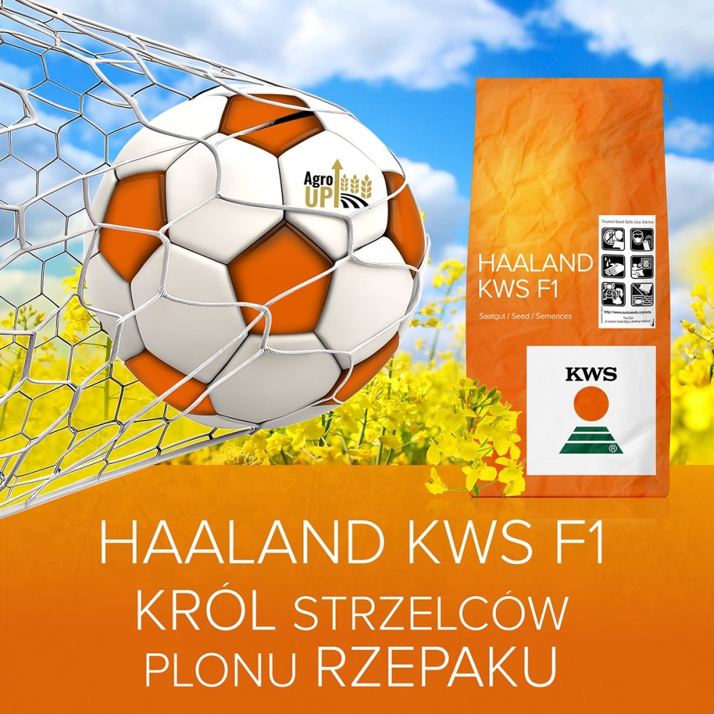KWS HAALAND F1