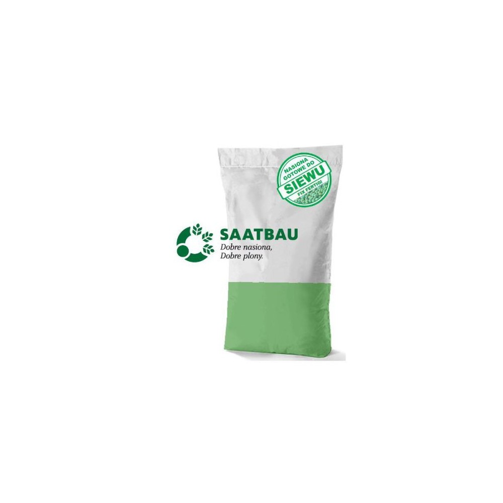 Soja Abaca C/1 - 150 tys nasion Maxim 025FS 