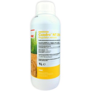 Cuadro NT 250 EC - 1 L