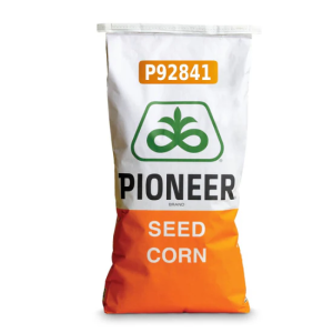 Kukurydza siewna Pioneer P92841 C1 80 tys