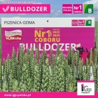 Pszenica ozima Bulldozer C/1 Big-Bag - 500 kg - 1