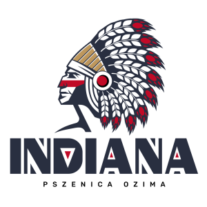 Pszenica ozima INDIANA C/1 a`25kg