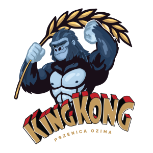 Pszenica ozima KINGKONG C/1 a`25kg