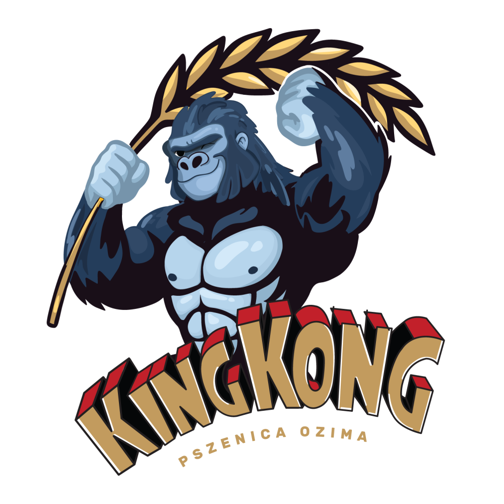 Pszenica ozima KINGKONG C/1 a`25kg