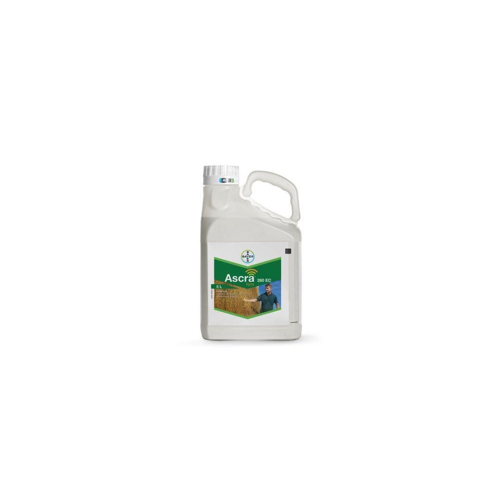 Ascra XPRO 260C - 5L