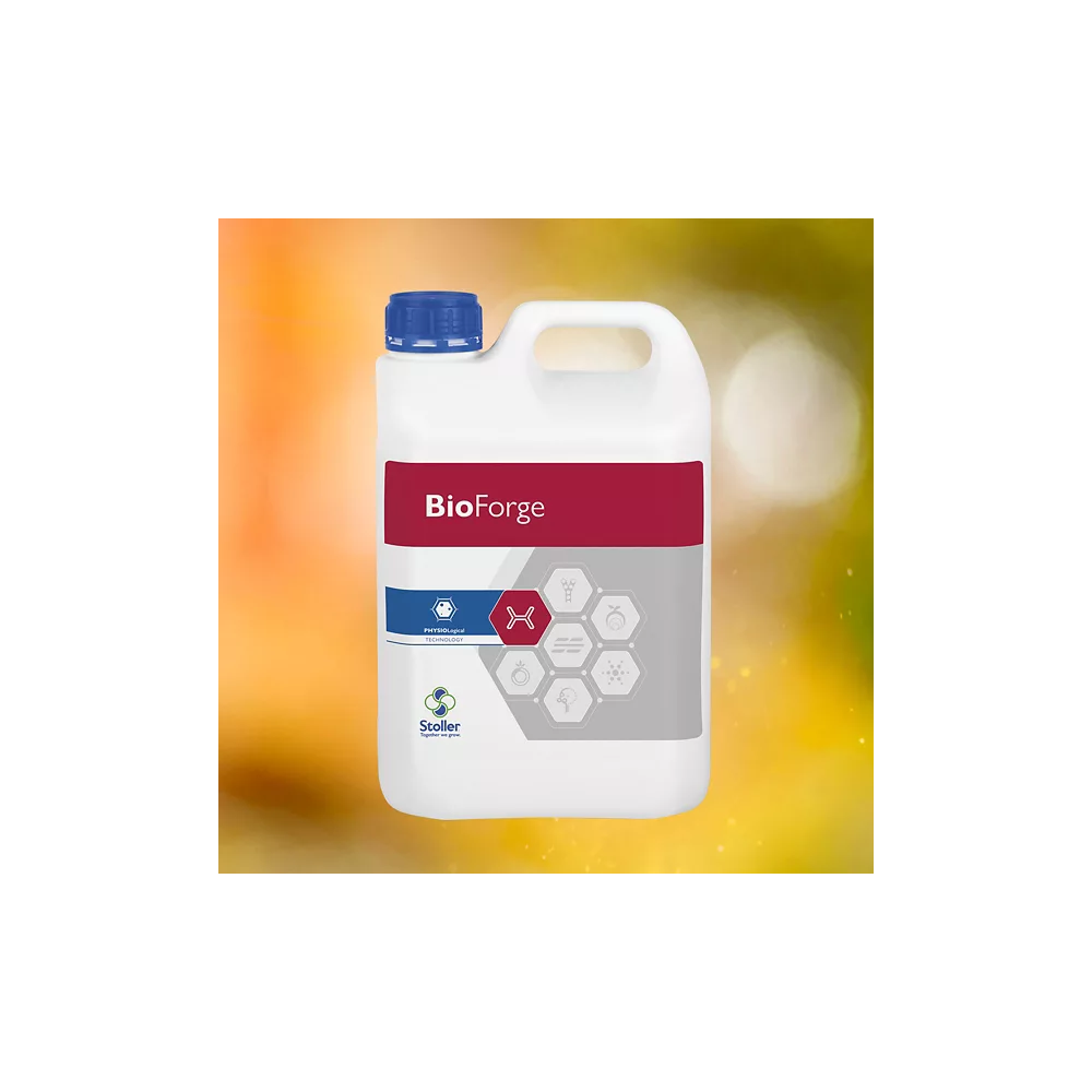 BIOFORGE 1 l 