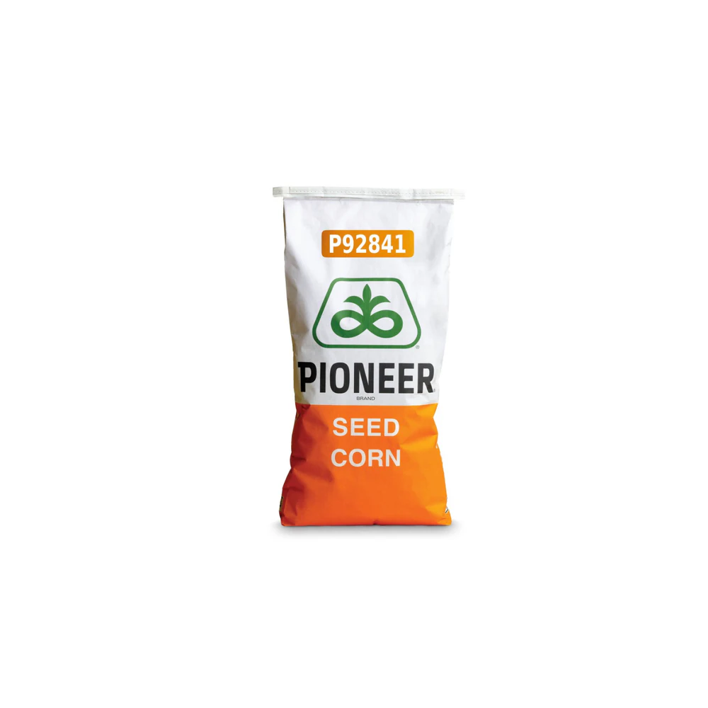 Kukurydza siewna Pioneer P92841 C1 80 tys