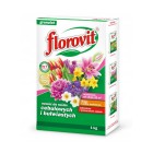 FLOROVIT DO CEBULOWYCH I BULWIASTYCH 1KG - 1