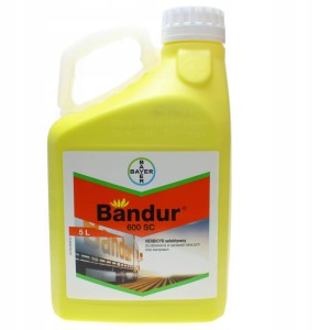 Bandur 600 SC - 5 L