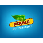 Dekalb
